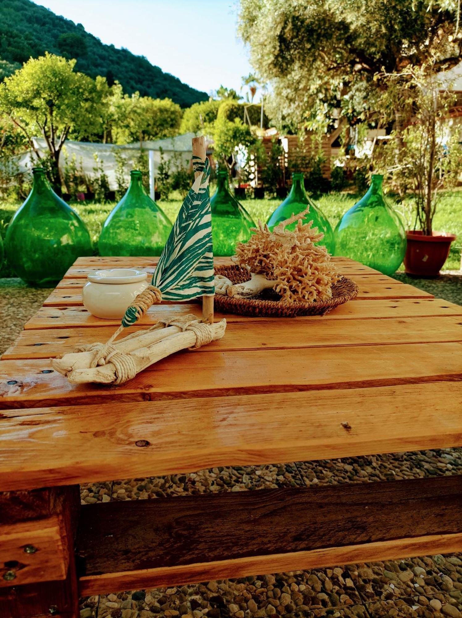 Laris Bed & Breakfast Castellabate Eksteriør bilde